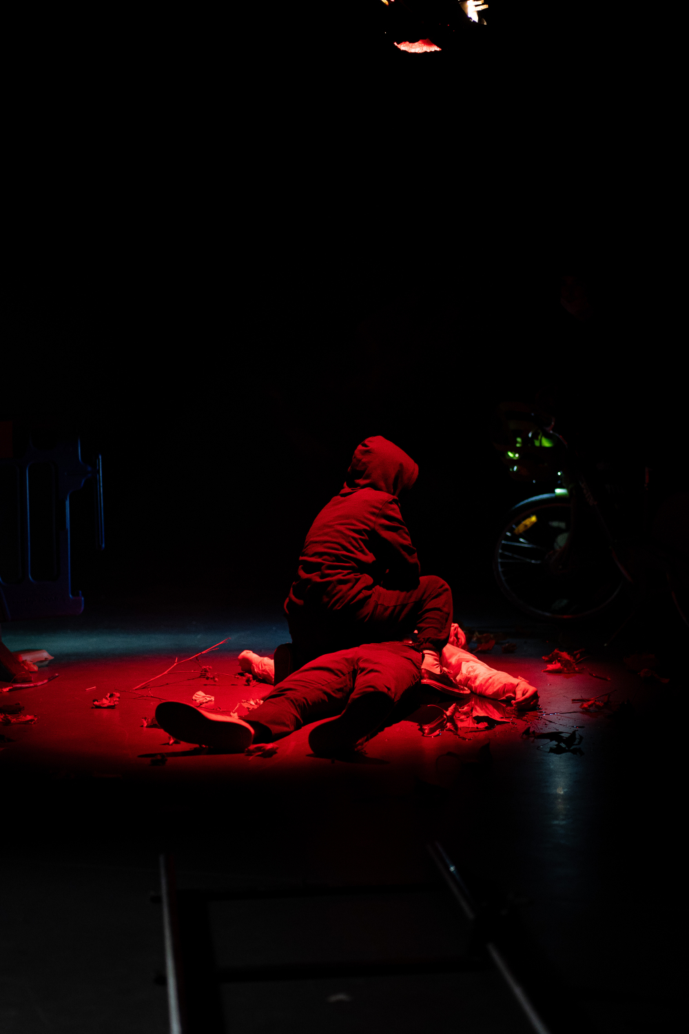 "folie" Nikon festival 2021 par Thibault Adelantado